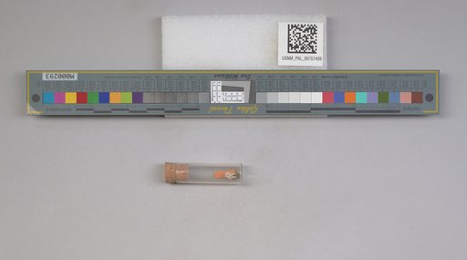 NSF ADBC EPICC TCN