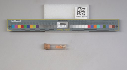 NSF ADBC EPICC TCN