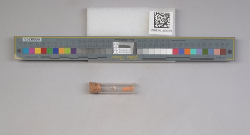 NSF ADBC EPICC TCN
