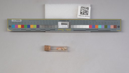 NSF ADBC EPICC TCN