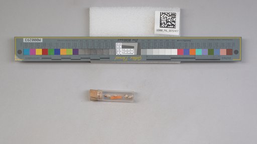 NSF ADBC EPICC TCN