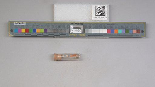 NSF ADBC EPICC TCN