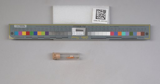 NSF ADBC EPICC TCN