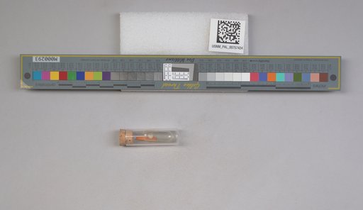NSF ADBC EPICC TCN