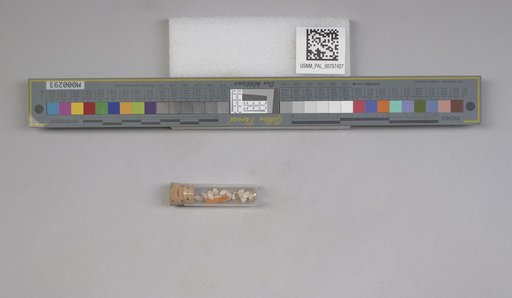 NSF ADBC EPICC TCN