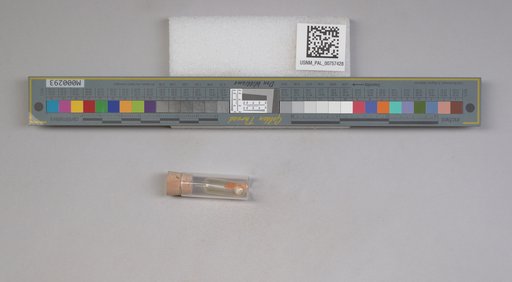 NSF ADBC EPICC TCN