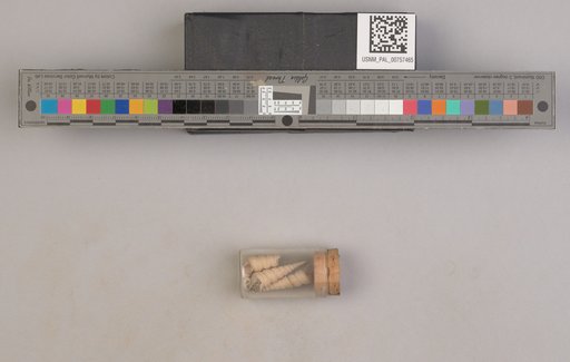 NSF ADBC EPICC TCN
