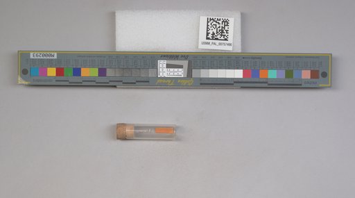 NSF ADBC EPICC TCN