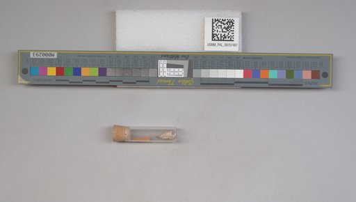 NSF ADBC EPICC TCN