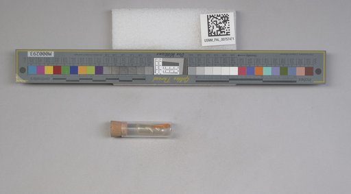 NSF ADBC EPICC TCN