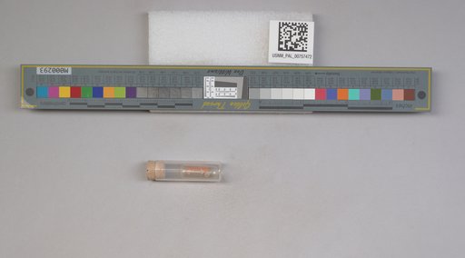 NSF ADBC EPICC TCN