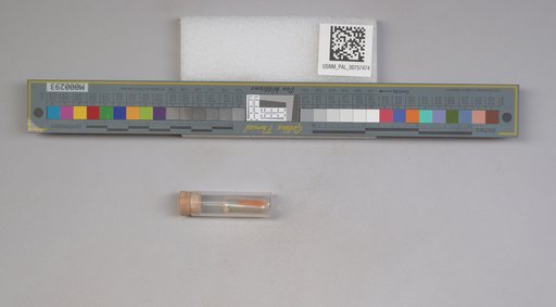 NSF ADBC EPICC TCN