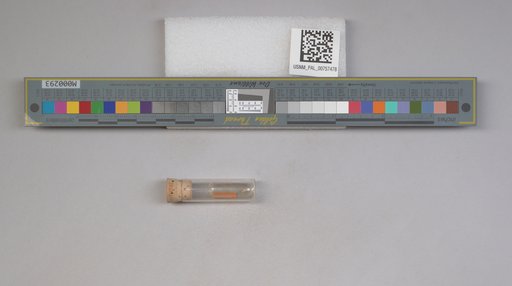 NSF ADBC EPICC TCN