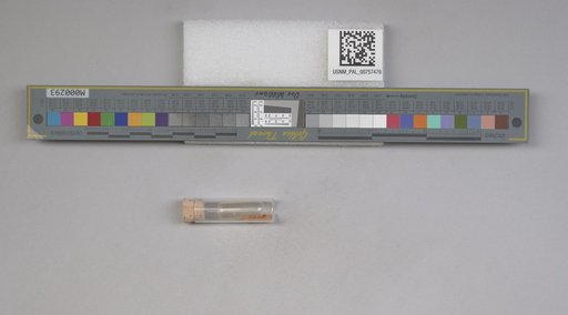 NSF ADBC EPICC TCN