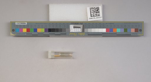 NSF ADBC EPICC TCN