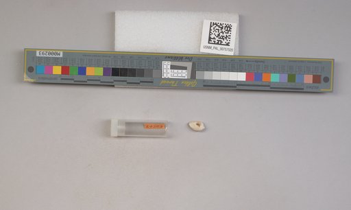 NSF ADBC EPICC TCN
