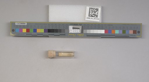 NSF ADBC EPICC TCN