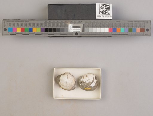 NSF ADBC EPICC TCN