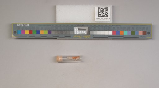 NSF ADBC EPICC TCN