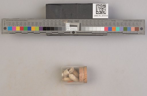 NSF ADBC EPICC TCN