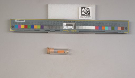 NSF ADBC EPICC TCN