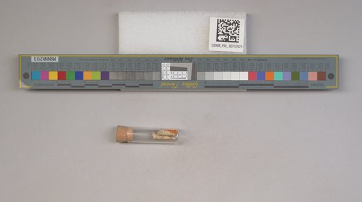NSF ADBC EPICC TCN