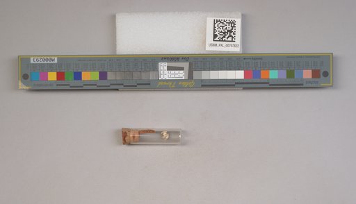 NSF ADBC EPICC TCN
