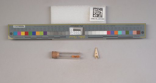 NSF ADBC EPICC TCN