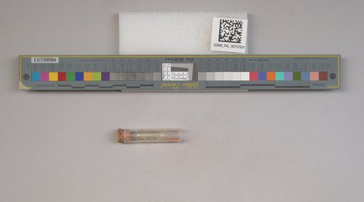 NSF ADBC EPICC TCN