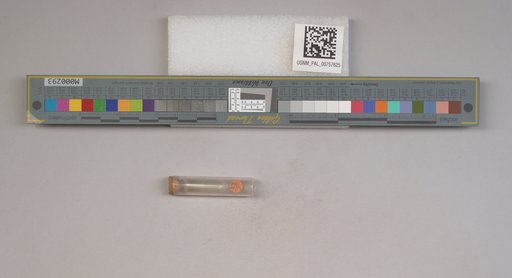 NSF ADBC EPICC TCN