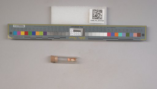 NSF ADBC EPICC TCN