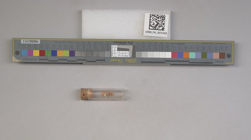 NSF ADBC EPICC TCN
