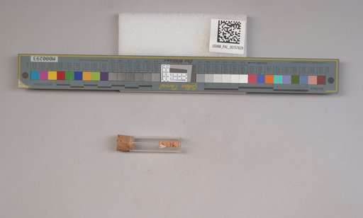 NSF ADBC EPICC TCN
