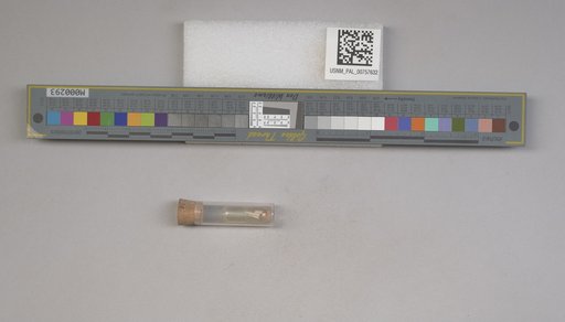 NSF ADBC EPICC TCN