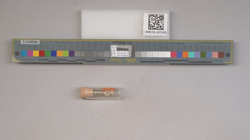 NSF ADBC EPICC TCN
