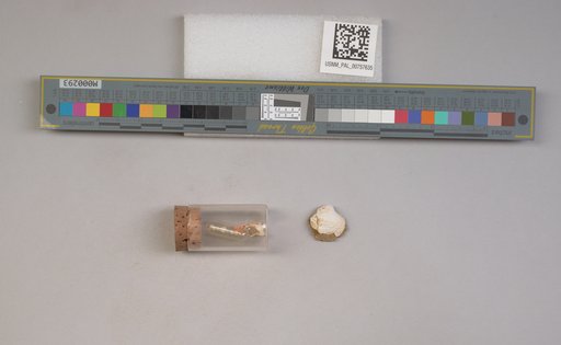 NSF ADBC EPICC TCN