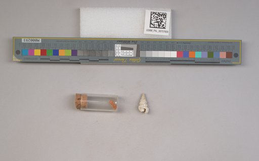 NSF ADBC EPICC TCN