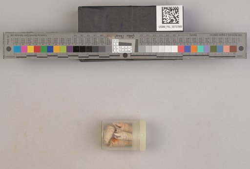 NSF ADBC EPICC TCN