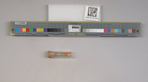 NSF ADBC EPICC TCN