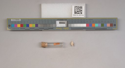 NSF ADBC EPICC TCN