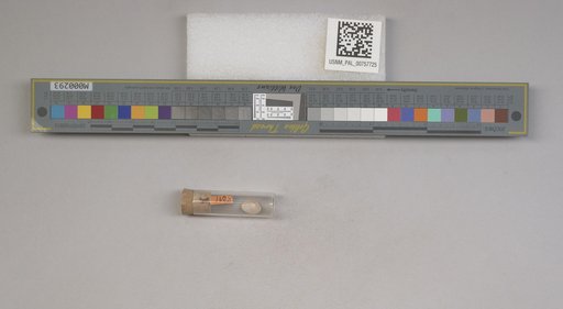 NSF ADBC EPICC TCN