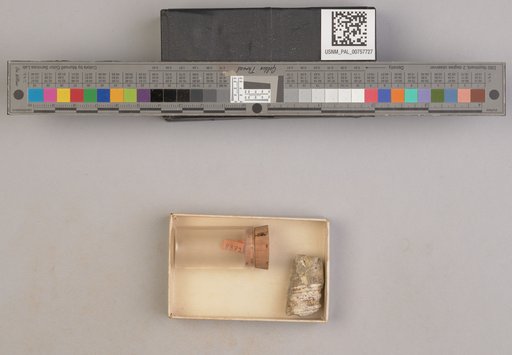NSF ADBC EPICC TCN