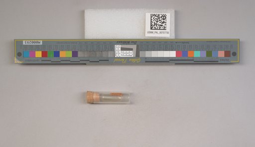 NSF ADBC EPICC TCN