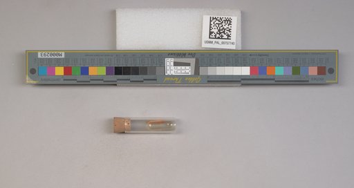 NSF ADBC EPICC TCN