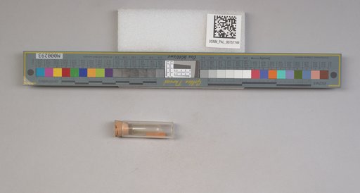 NSF ADBC EPICC TCN
