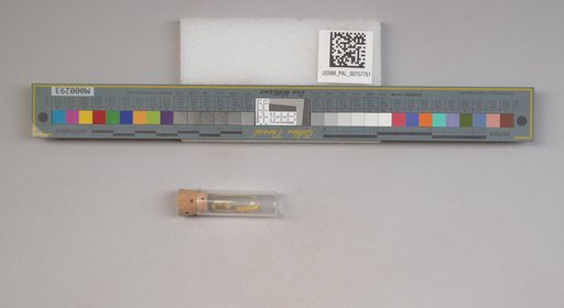NSF ADBC EPICC TCN