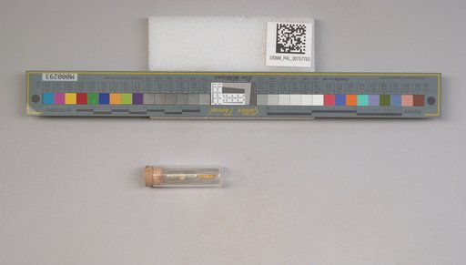 NSF ADBC EPICC TCN
