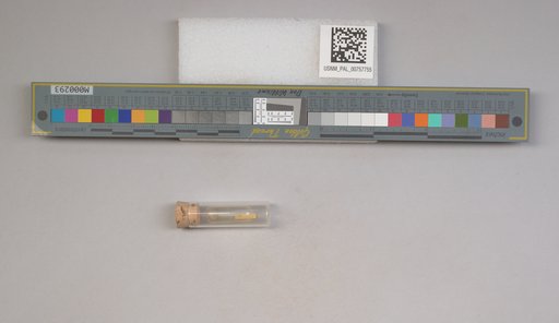 NSF ADBC EPICC TCN