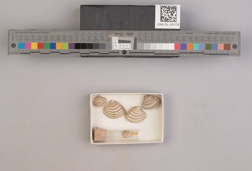 NSF ADBC EPICC TCN