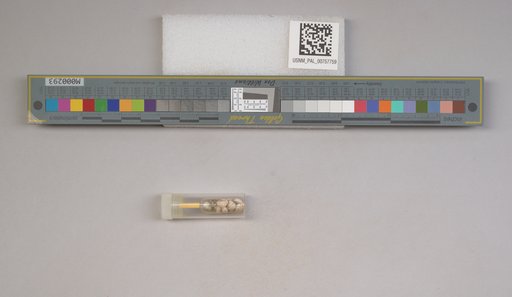NSF ADBC EPICC TCN